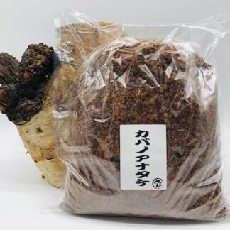 カバノアナタケ1kg きのこ王国 通信販売